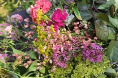 511298845_1136229545204928_6868304537869583638_n