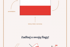 flaga-polski-jak-o-nia-dbac-696x996_optimized