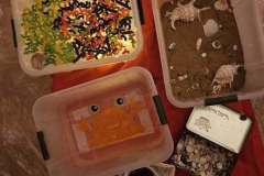 514248269_1164345839059965_3950306945242091846_n