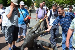 514250390_1157865539707995_2205283070931273589_n