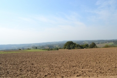 1_DSC_0277